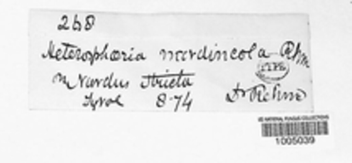 Crumenula image